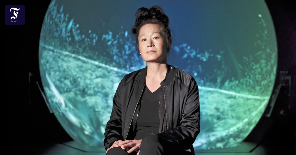 Hito-Steyerl-Ich-habe-die-Drohne-sch-n-gegen-einen-Mast-knallen-lassen