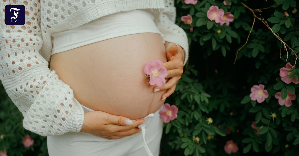 Schwangerschafts-App-In-der-22-Woche-ist-das-Baby-so-gro-wie-ein-Maiskolben