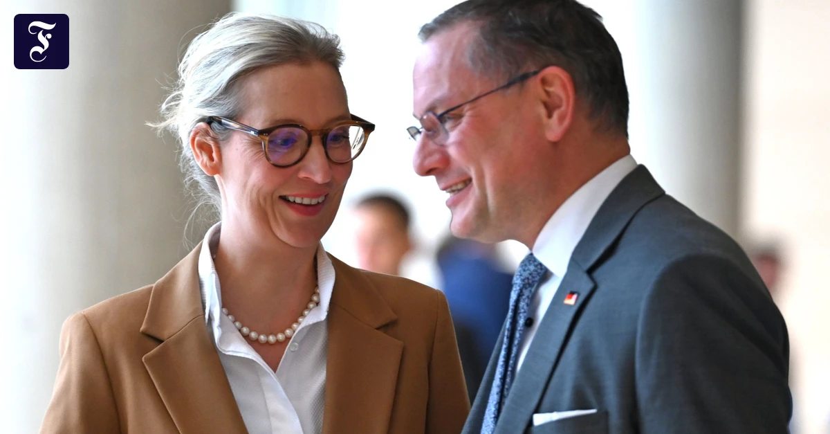 Radio-wie-bei-der-FP-Stell-dir-vor-die-AfD-macht-ihren-eigenen-Rundfunk