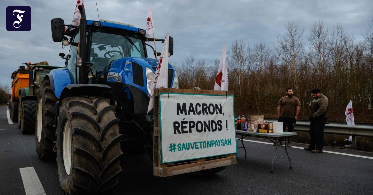 Französische Bauernproteste: Aufstand gegen Mercosur