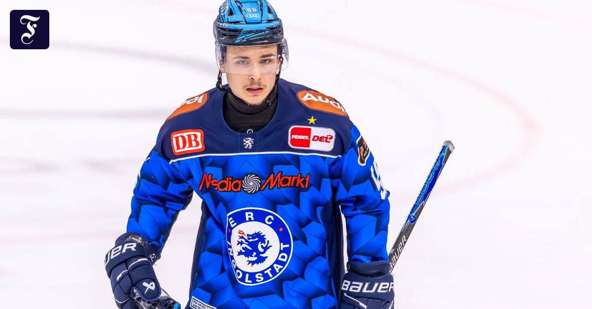 Play-Offs in der DEL: Symptome einer toxischen Kultur im Eishockey