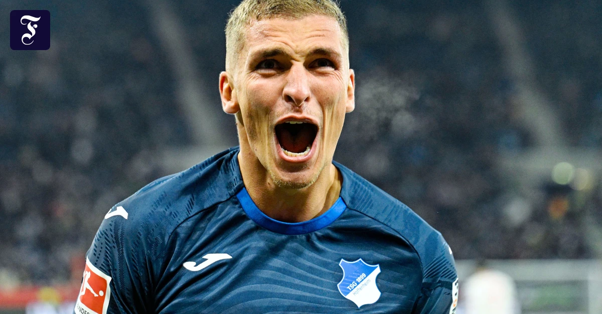 F-A-Z-Fragebogen-Der-gr-te-Irrtum-ber-das-Leben-als-Profi-Herr-Pr-mel-