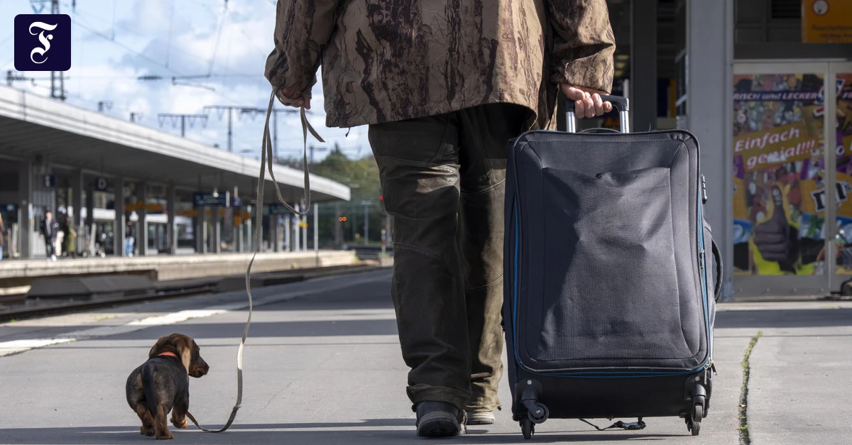 Die-Kunst-des-Kofferpackens-Macht-es-euch-nicht-so-schwer-