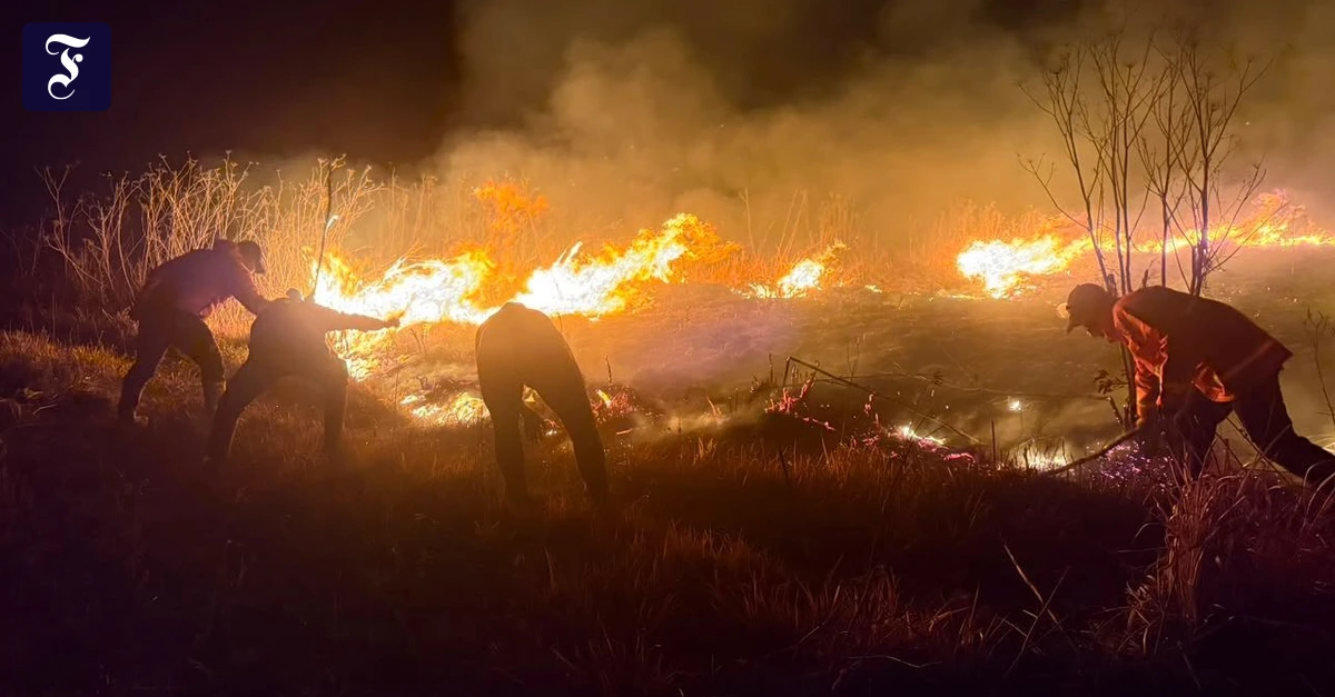 Forest fire in Indonesia: Bromo National Park closed