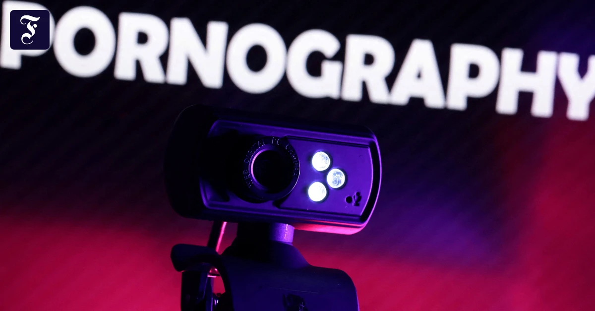 Medienaufsicht-gestoppt-Porno-Seiten-bleiben-online