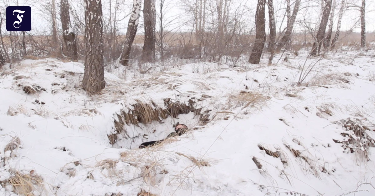 Kunst-gegen-Repression-Eisige-Freude-im-hohen-Norden