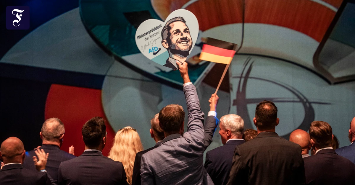 Saxony-Anhalt Election Live: Ulrich Siegmund Open to Emergency Snap Elections