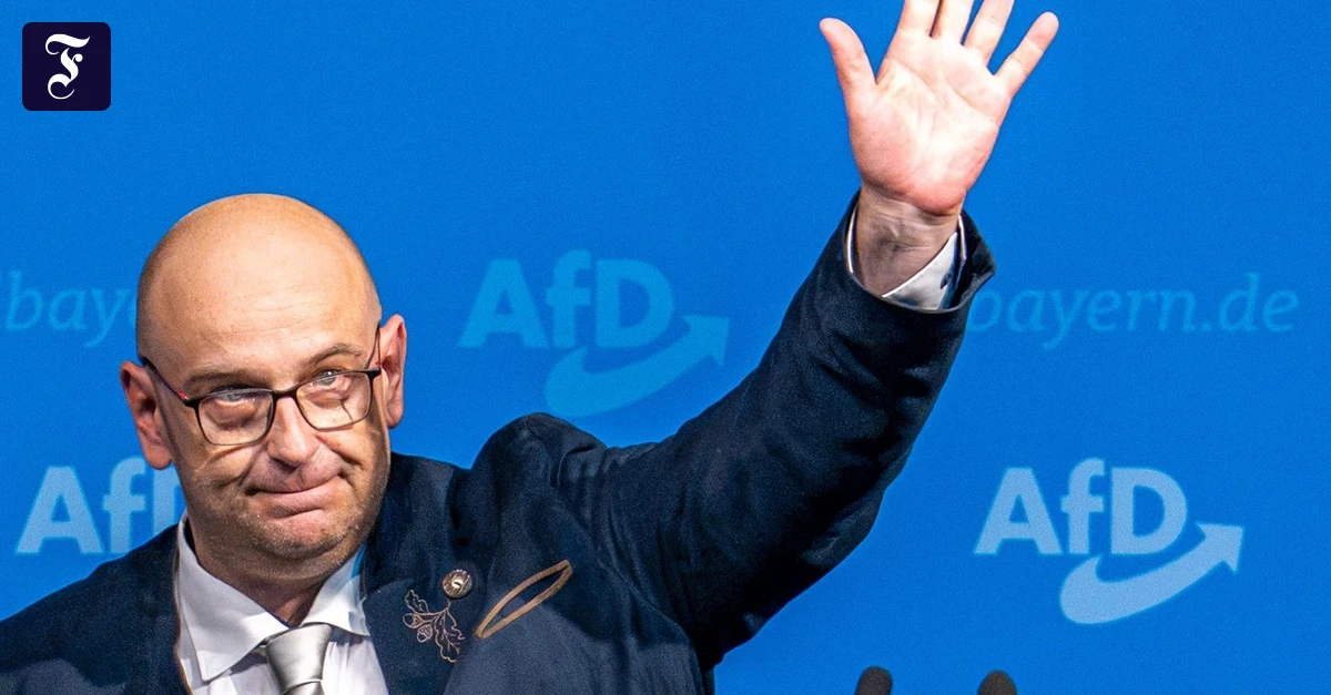 Parteitag in Passau: Machtkampf in der bayerischen AfD vorerst entschieden