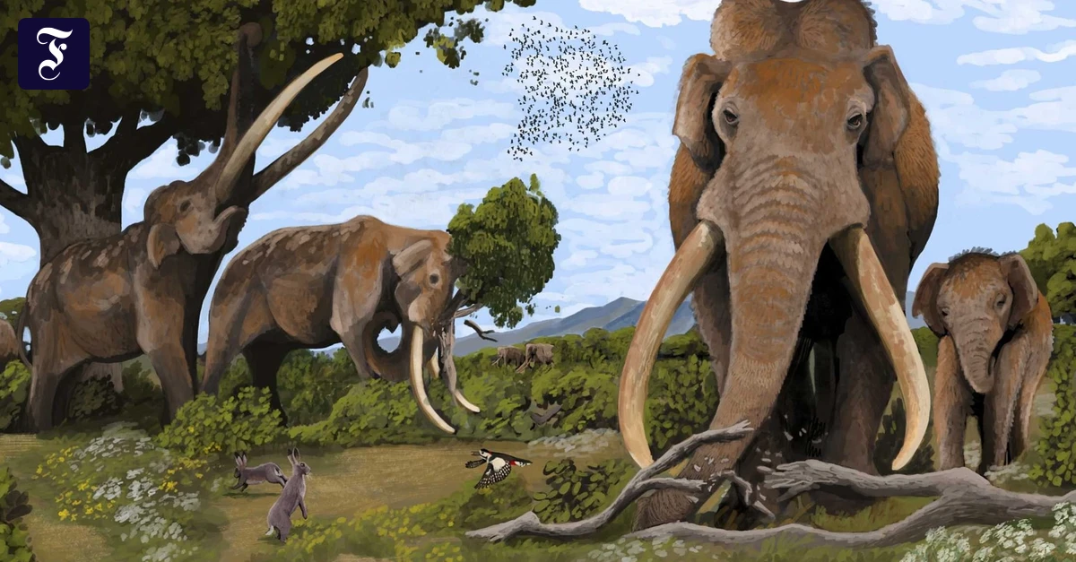 Prähistorische Säuger: Waldelefanten wanderten Hunderte Kilometer weit