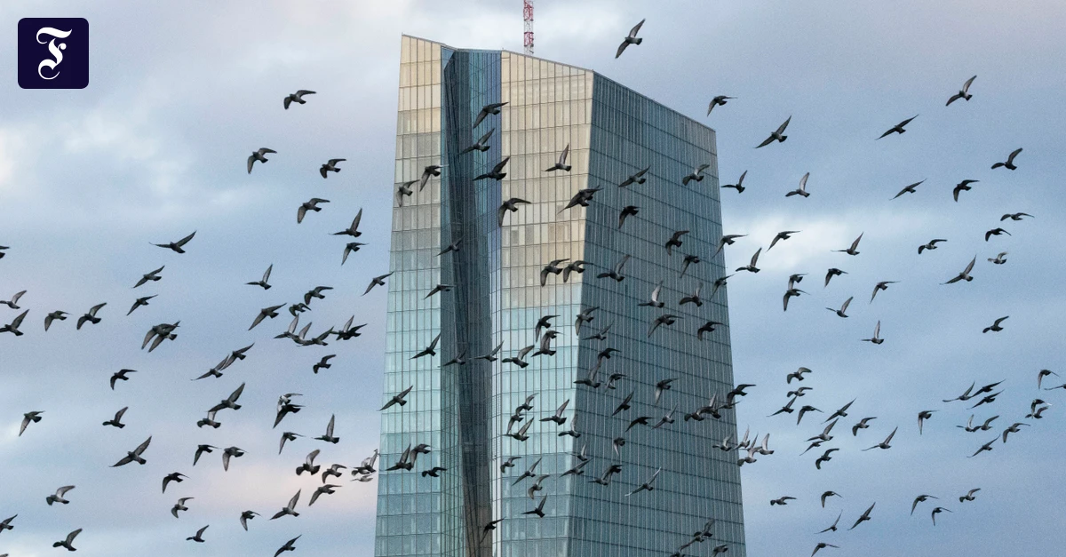 Ölpreiskrise: Muss die EZB jetzt schon handeln?