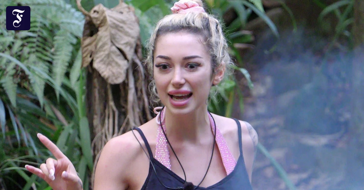 Dschungelcamp 2026: Hat Ariel Mitleid mit Gil Ofarim provoziert? | FAZ