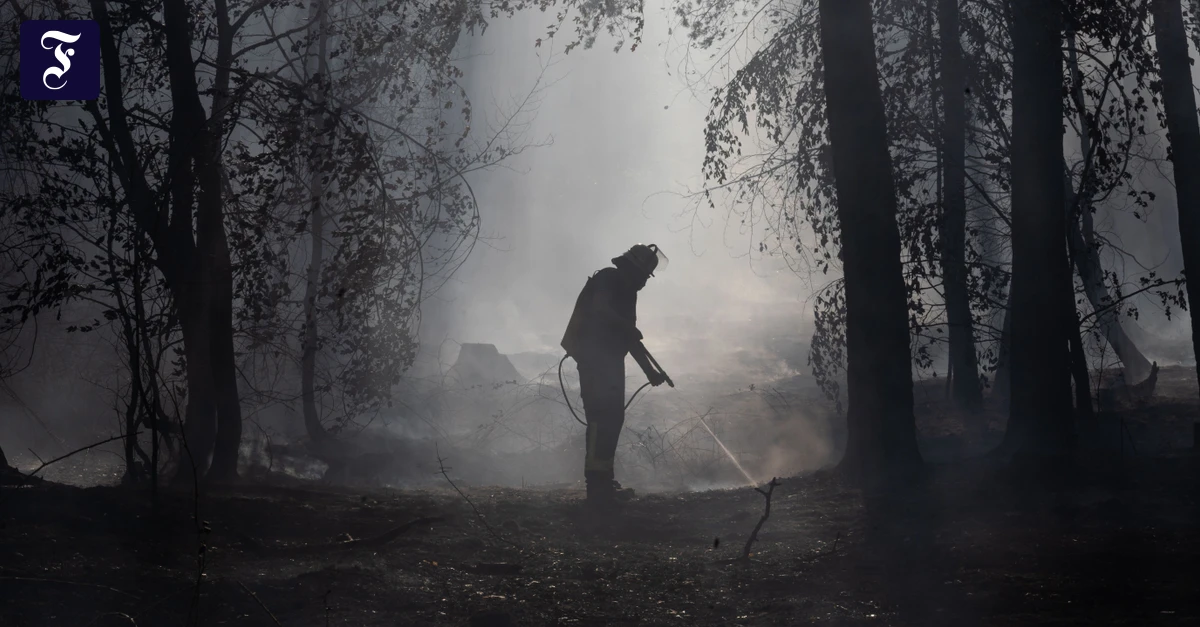 Rhein-Main-Feierabendbriefing: Feuerwehr kämpft gegen 55 Hektar brennenden Wald bei Rodenbach