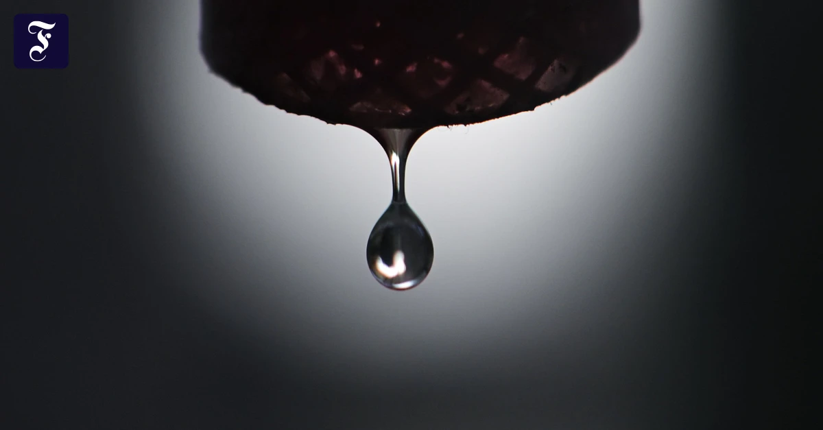 Ewigkeitschemikalien-Gefahr-f-r-Ungeborene-