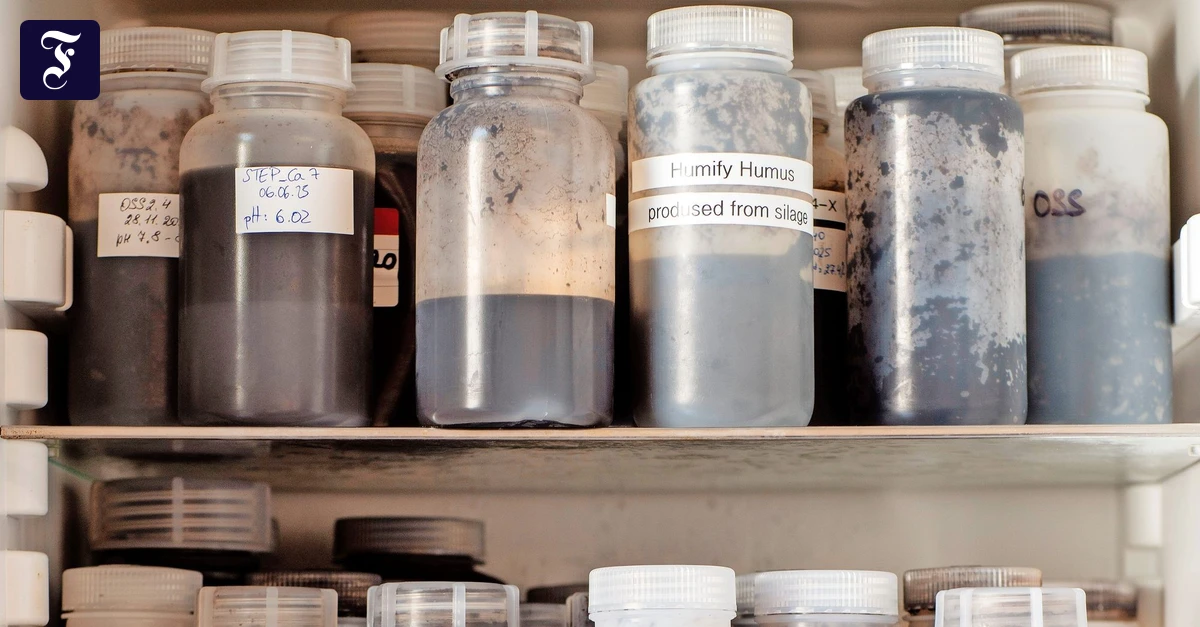 Deutsches Start-up Humify: Zu schön, um schnell zu gehen