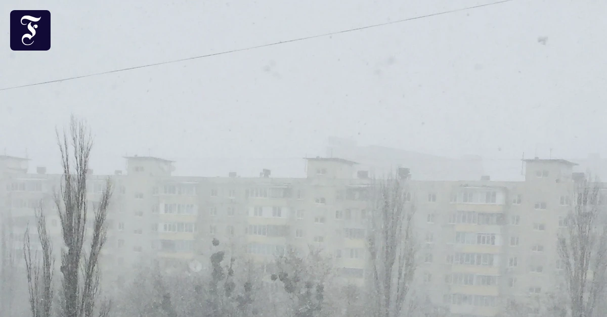 Kolumne-Lost-and-Found-Wovon-wir-tr-umen-wenn-es-an-allen-Ecken-brennt