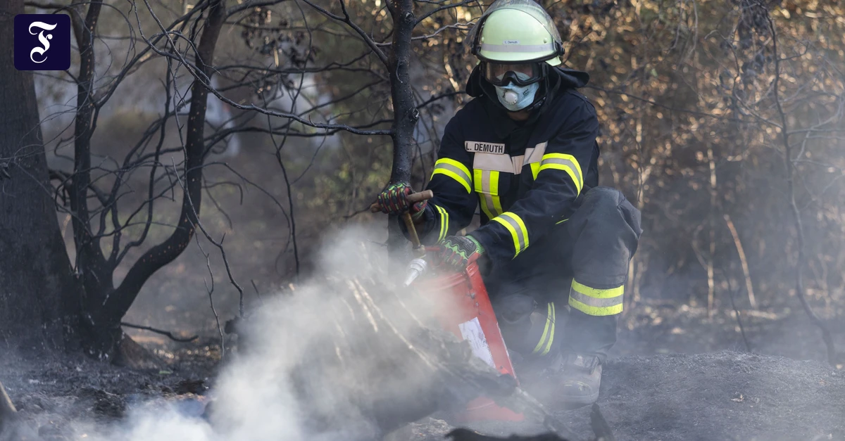Rhein-Main-Liveblog: Bad Schwalbach: Dritter Waldbrand in einer Woche