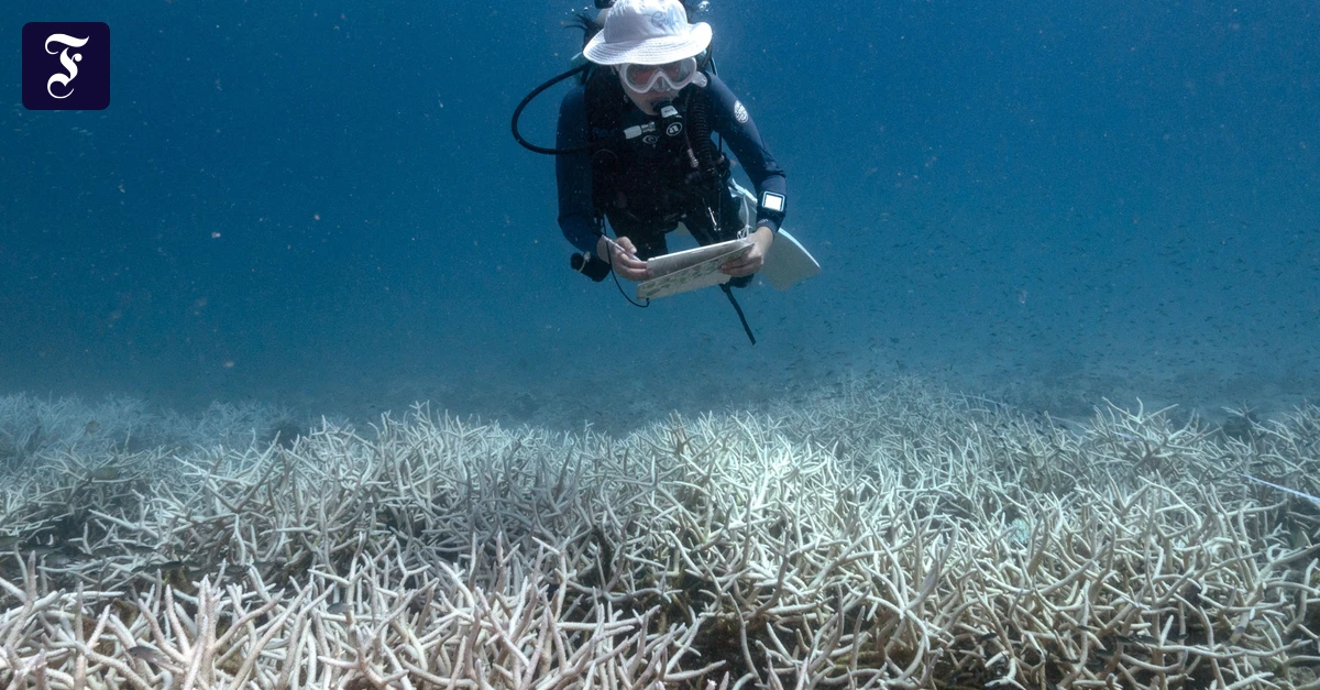 Klimaph&auml;nomen El Ni&ntilde;o: Das dicke Ende kommt noch
