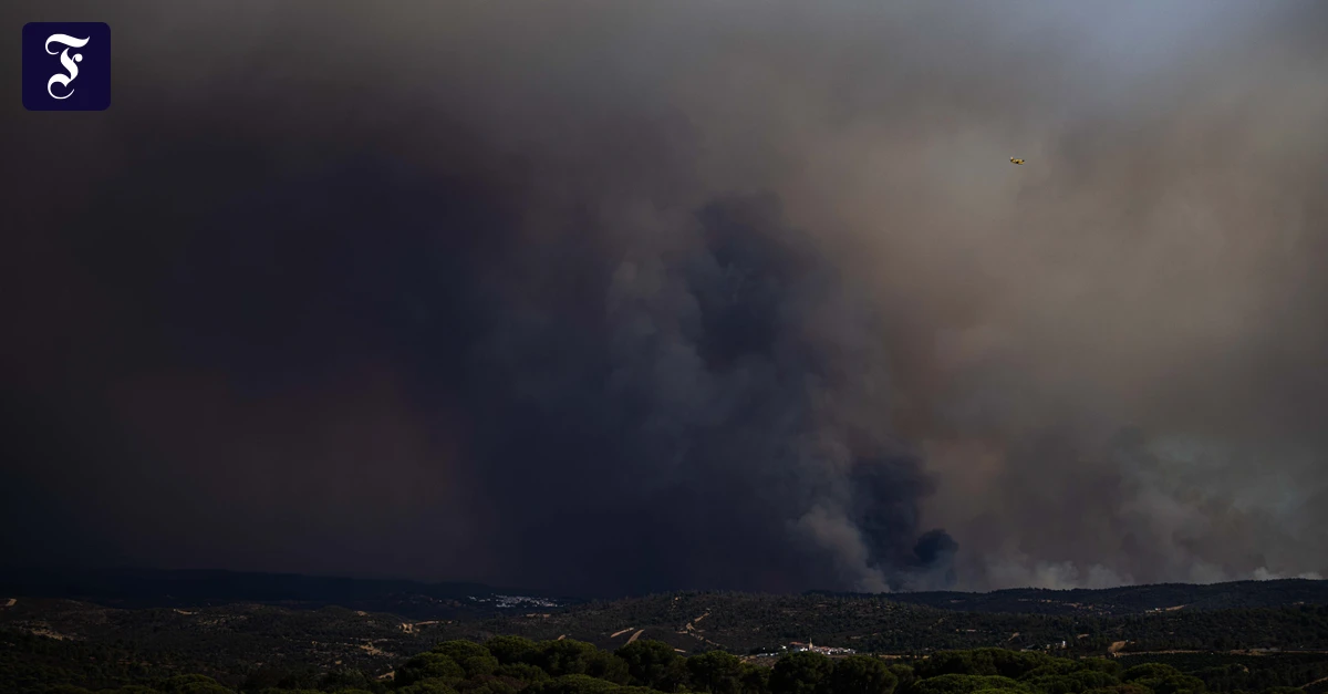 Wildfire in Andalusia Out of Control: 20,000 Hectares Burned