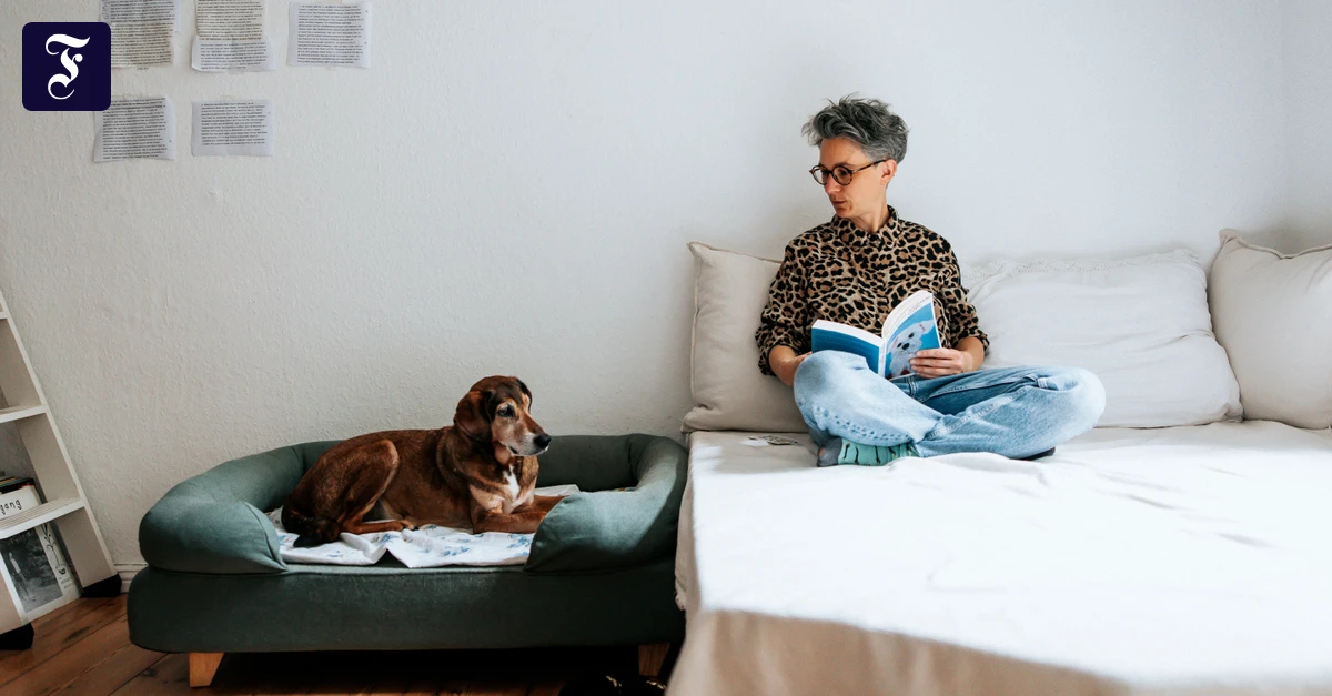 Kolumne-Midlife-Crisis-Ich-bin-eine-Childless-Dog-Lady-und-es-ging-mir-nie-besser