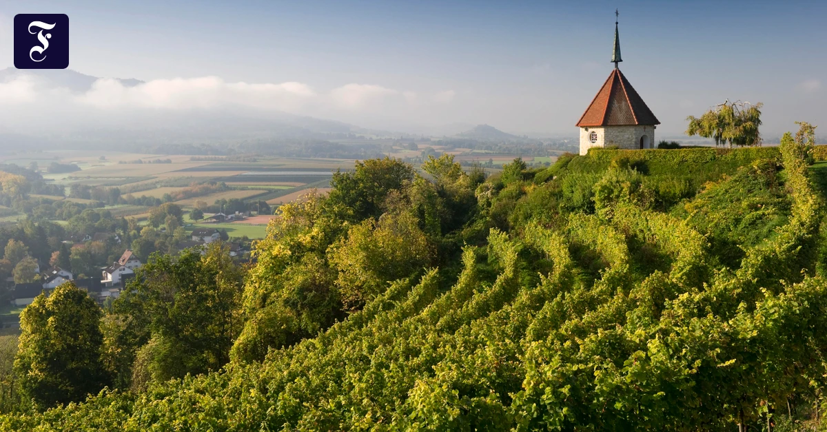 Religiöse Indifferenz: Wovon ich rede, wenn ich vom Glauben rede