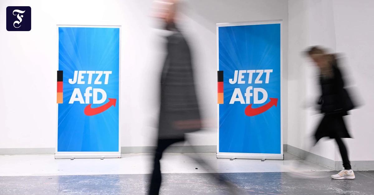 Parteien-in-Deutschland-Womit-die-AfD-spielt