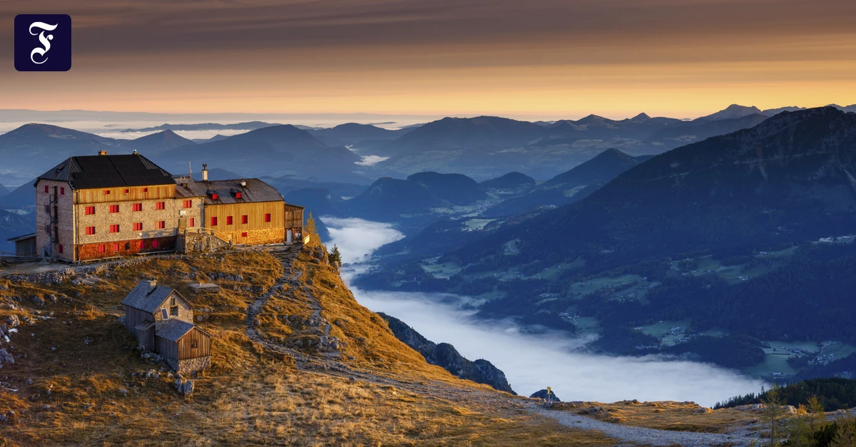 Klimawandel in den Alpen: In höchster Not