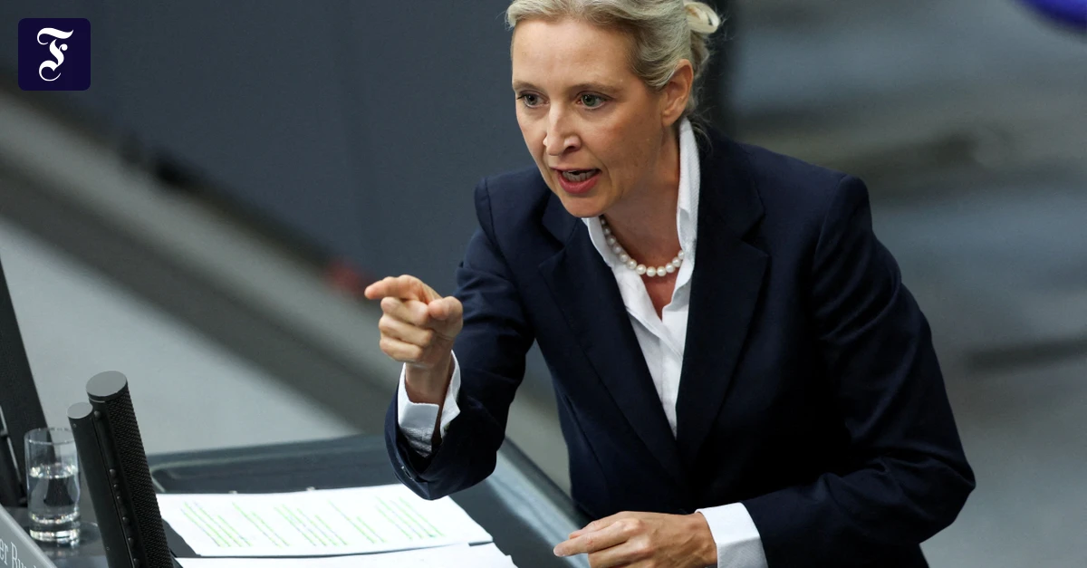 Die Erkenntnislücke in Sachen AfD schließen
