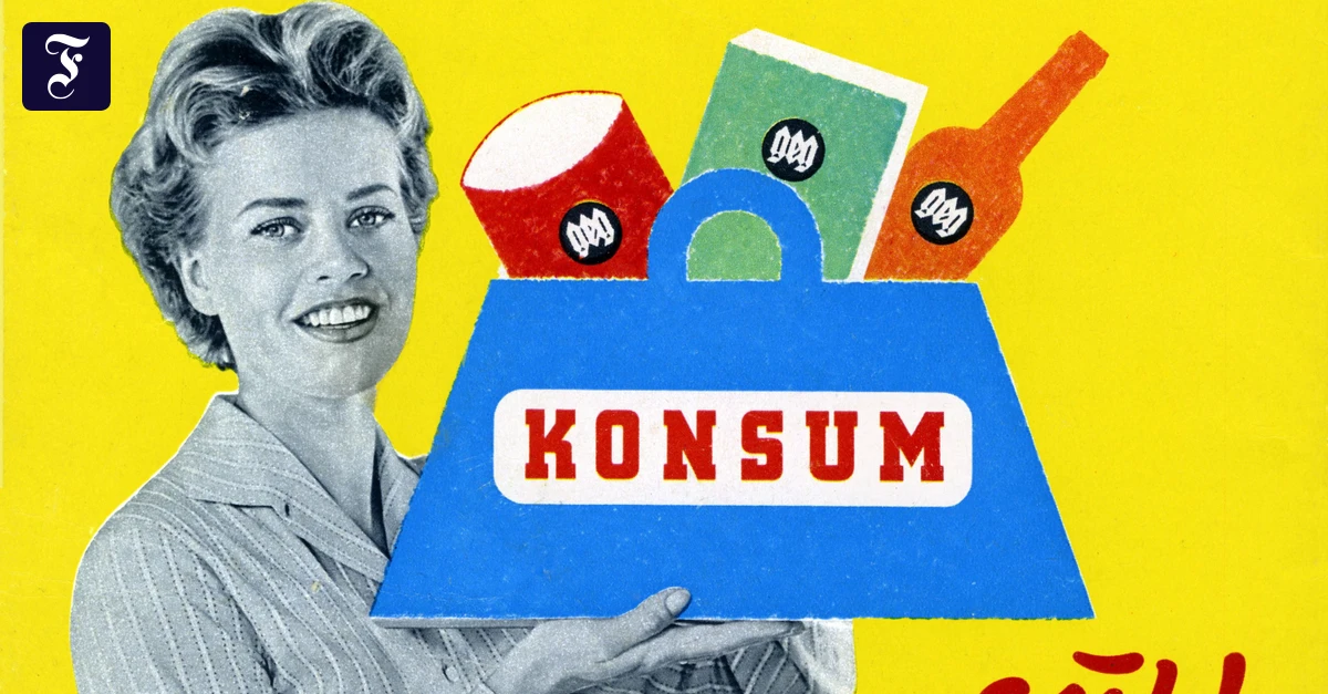 Deutsche Demokratie: Die Bundesrepublik – eine Erfolgsgeschichte?