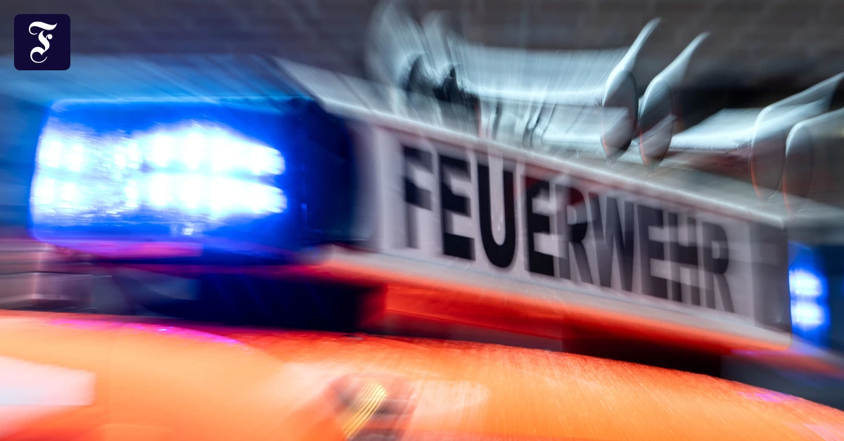 Rhein-Main-Liveblog: Umgestürzte Bäume und abgedeckte Dächer nach Gewittern