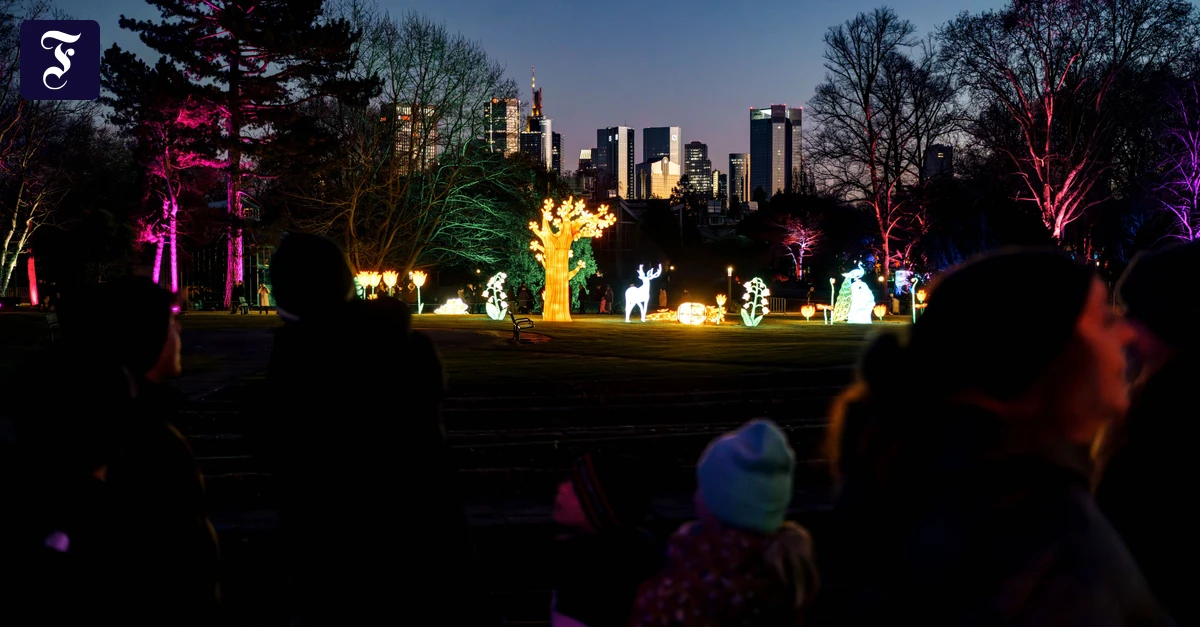 Winterlichter-im-Palmengarten-Bunte-Lichterwelt-vor-dunklem-Winterhimmel