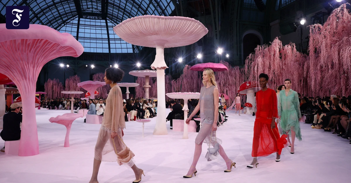 Haute-Couture-Auf-dem-Laufsteg-erbl-ht-die-Natur