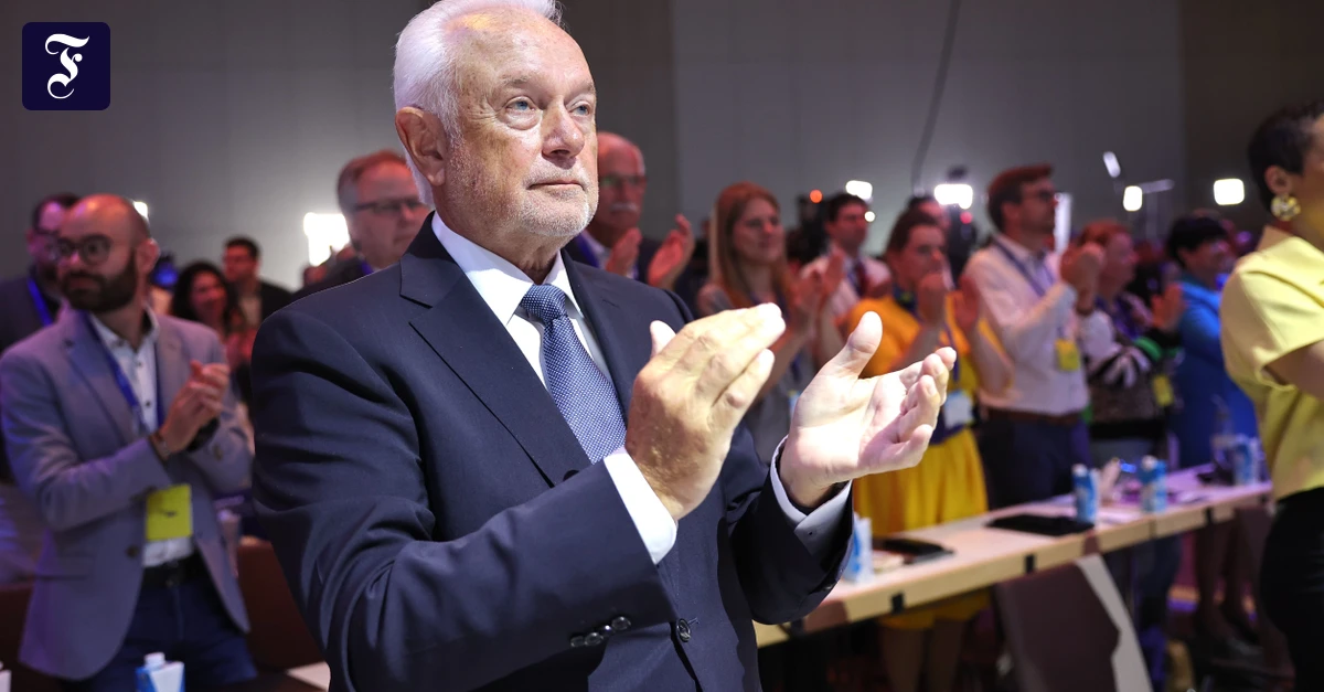 Restart for the FDP with Kubicki? The Gap of Liberalism