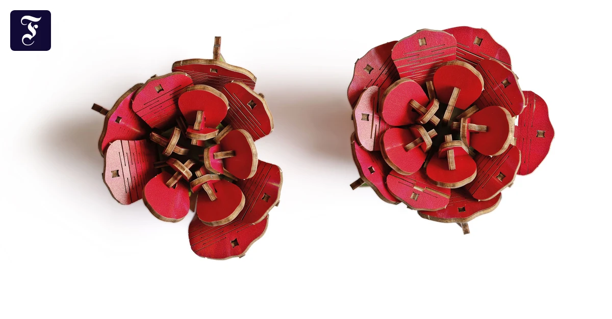 Geschenk zum Valentinstag: Für mich soll’s rote Rosen geben