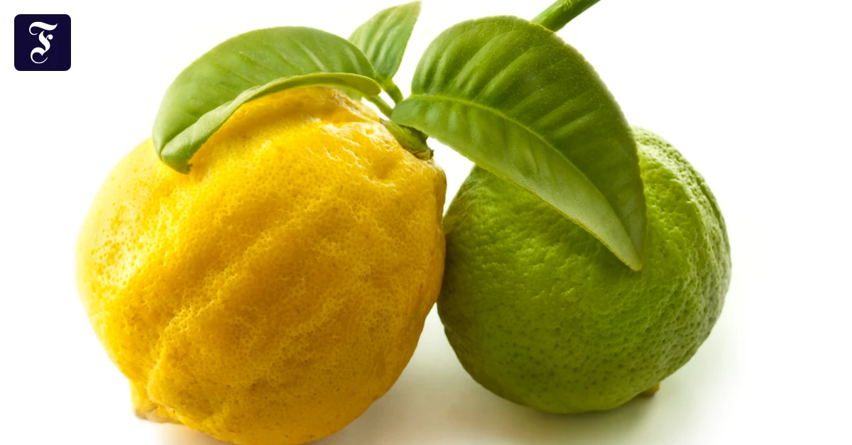 Earl Grey: Tee für Trekkies