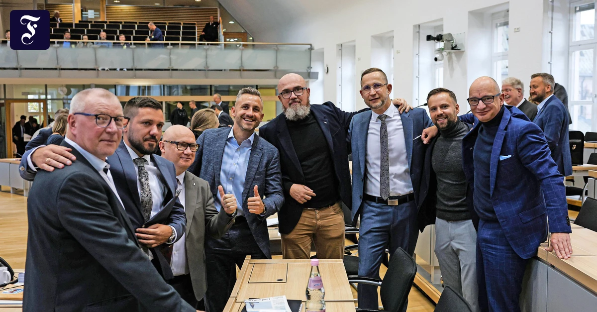 AfD-in-Sachsen-Anhalt-Sie-wollen-einen-anderen-Staat