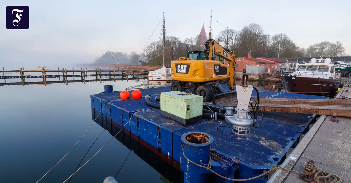 Whale rescue: Initiative complains about delays