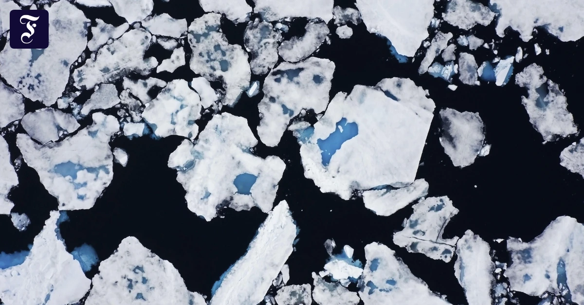 Polarforscher: „Akutaq zum Dessert“