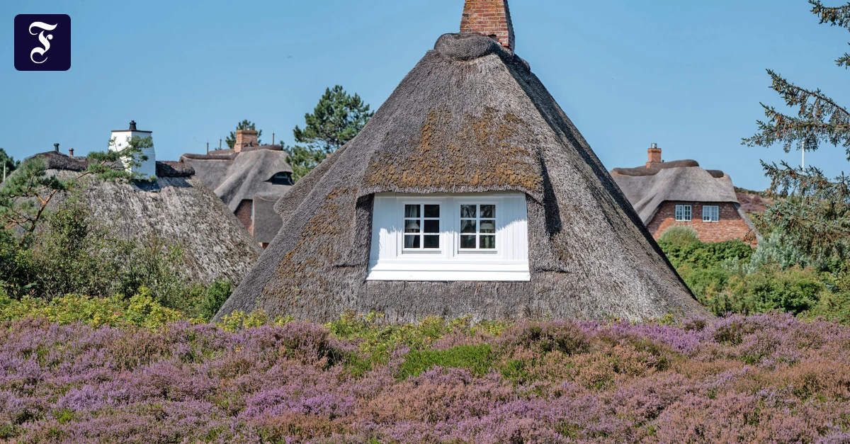 Ferienwohnung-auf-Sylt-Der-Preis-f-r-ein-St-ck-heile-Welt