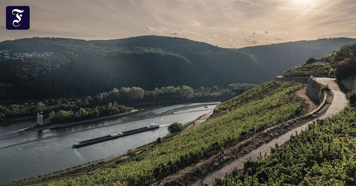 Rheinschifffahrt: Wie das Binger Loch seinen Schrecken verlor