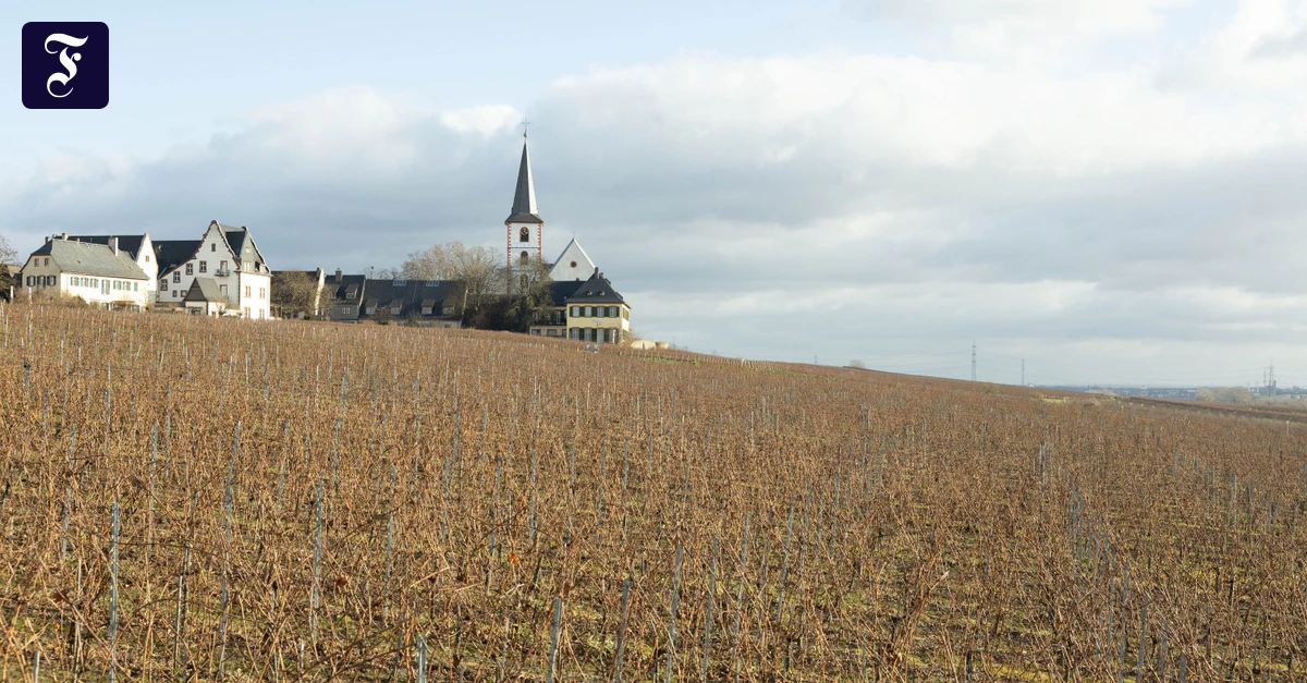 Kommunalparlamente: Bedrohte Keimzelle