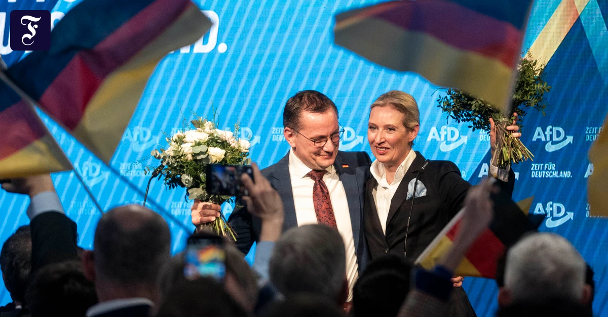 Höhenflug in Umfragen: Ist die AfD eine Volkspartei?