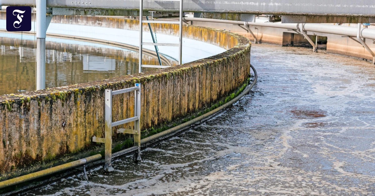 Medikamente im Abwasser: Kohle fürs Klärwerk