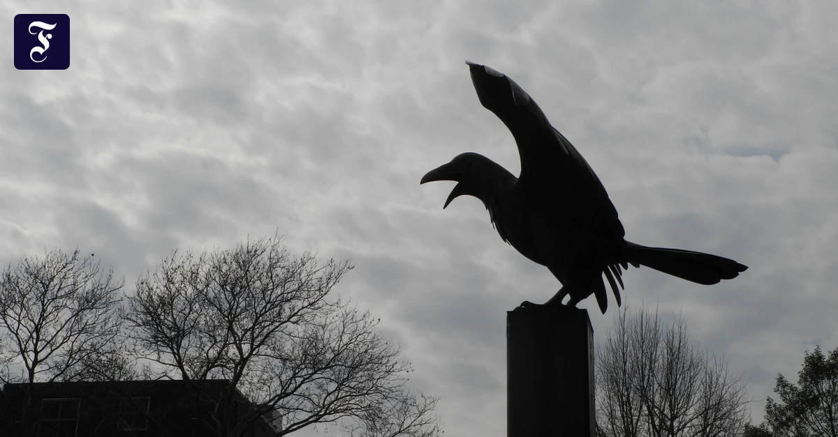 Bücher-Podcast: Endlose Faszination: Andreas Nohl über Edgar Allan Poe, den Magier des Grauens