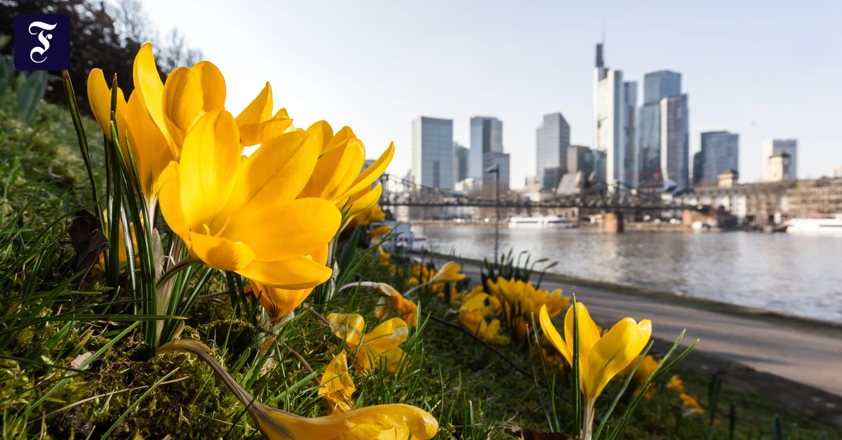 Wetter in Frankfurt: Der März war warm mit viel Sonne und eher trocken