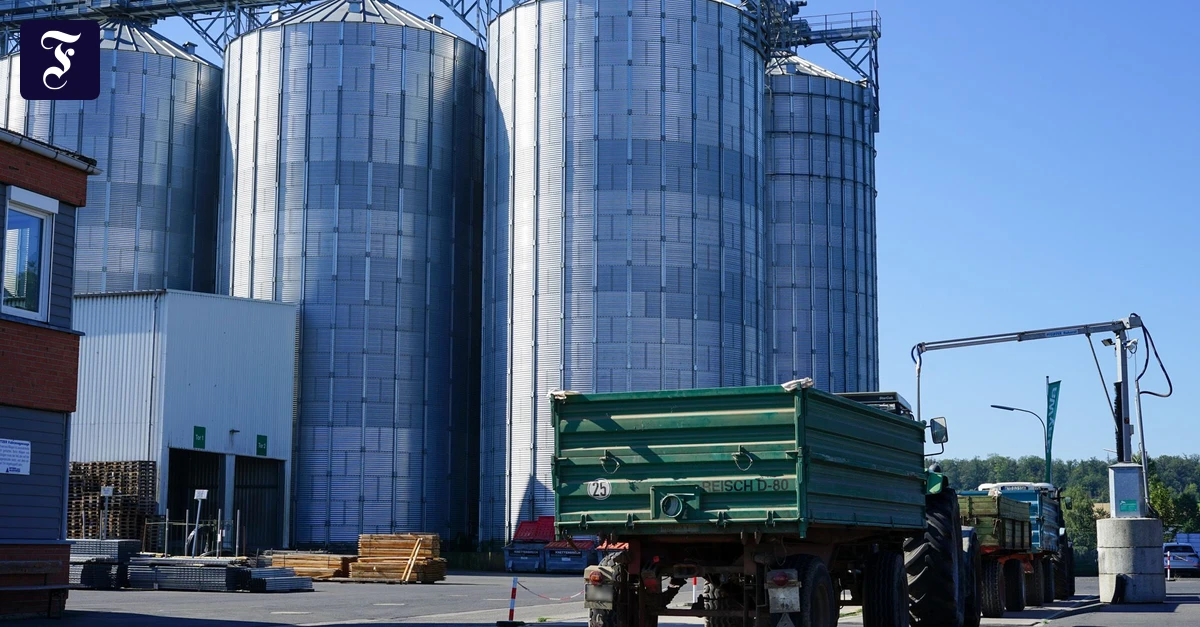 Agrarkonzern-in-Not-Der-Baywa-Aufsichtsrat-scheitert-an-der-F-hrungskrise