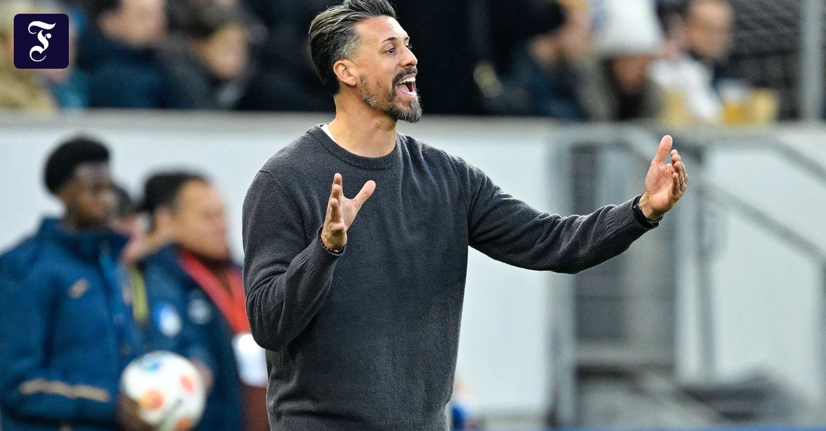 0-3-in-Hoffenheim-Niederlage-statt-St-ndchen-f-r-Sandro-Wagner