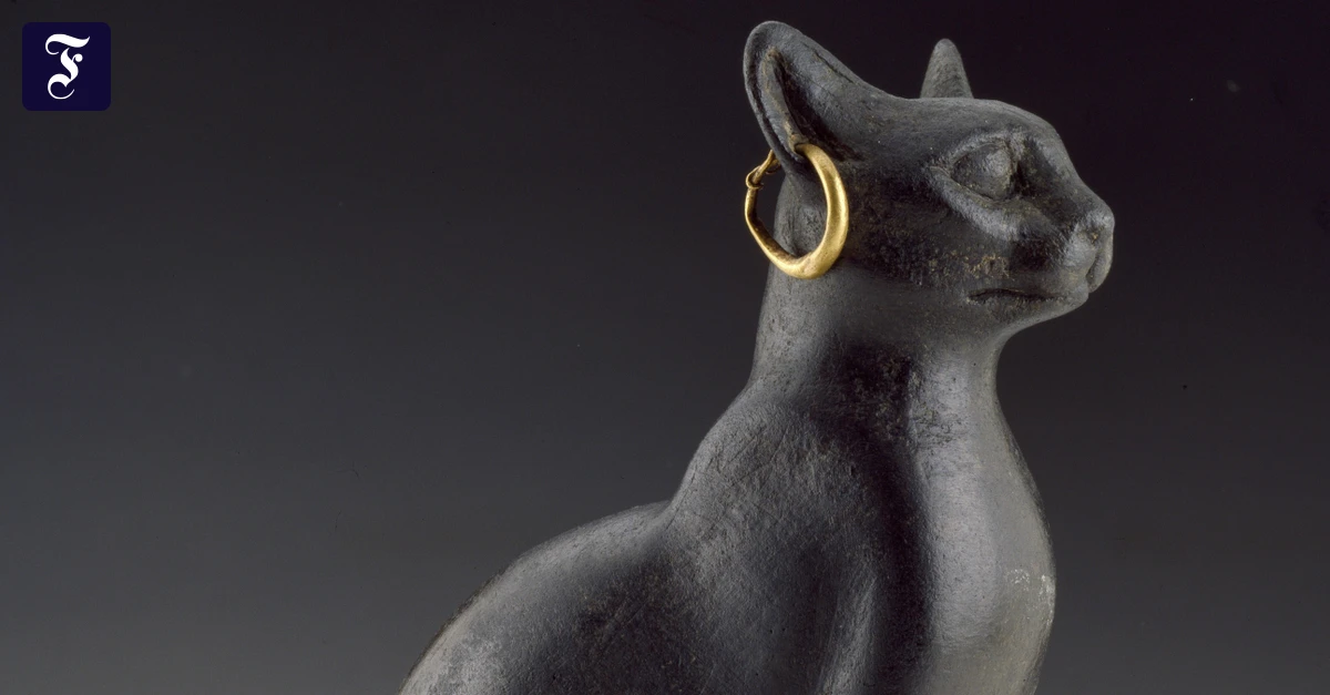 katzen-forschung-die-erbin-des-imperiums