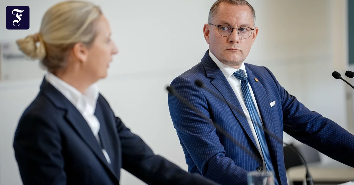 Umgang-mit-Putin-Das-Russland-der-AfD