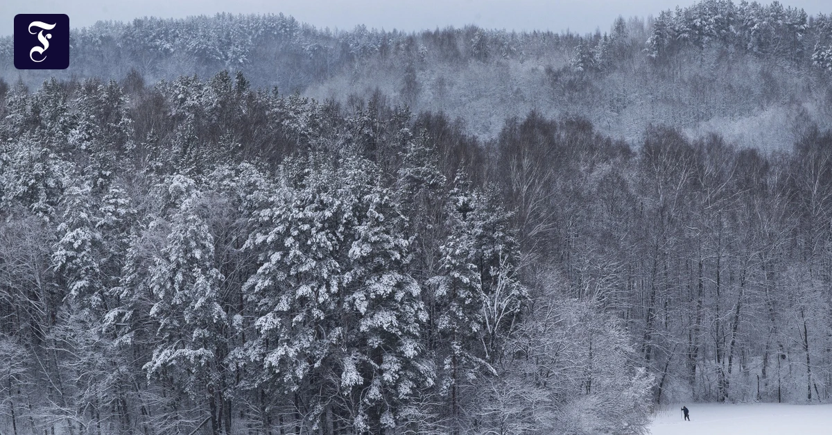 Romain Garys Partisanenroman: Mit General Nachtigall gegen die Wehrmacht