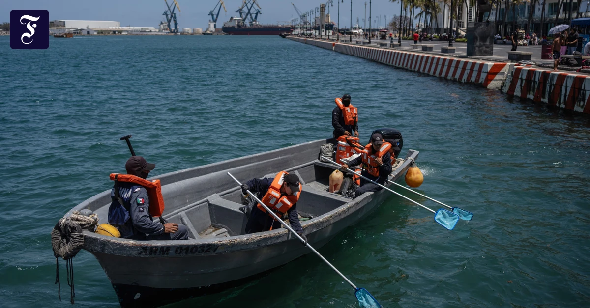 Mexiko: 2000 Einsatzkräfte kämpfen gegen Ölpest